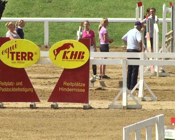 Reitturnier Schwaiganger 2017