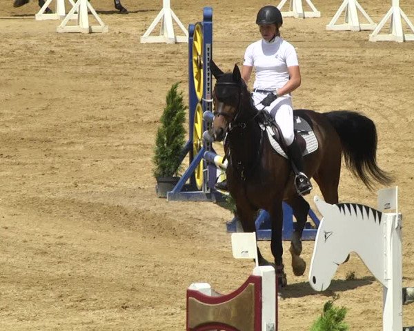 Reitturnier Schwaiganger 2017