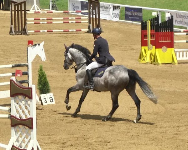 Reitturnier Schwaiganger 2017