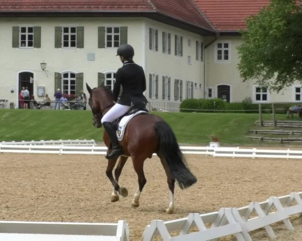 Reitturnier Schwaiganger 2017