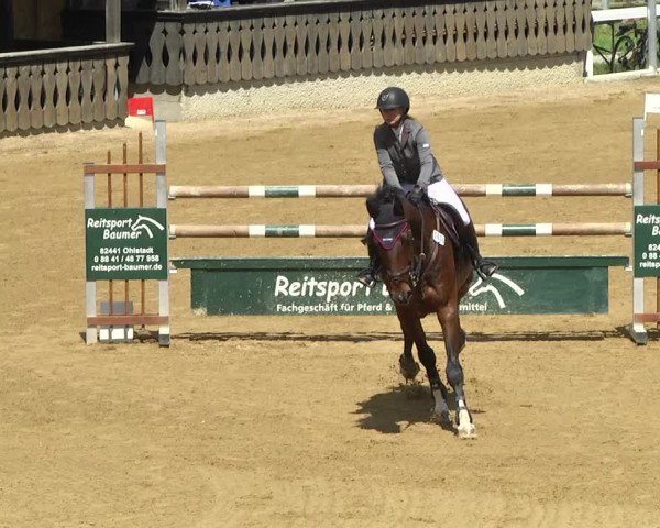 Reitturnier Schwaiganger 2017