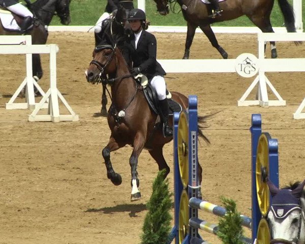 Reitturnier Schwaiganger 2017