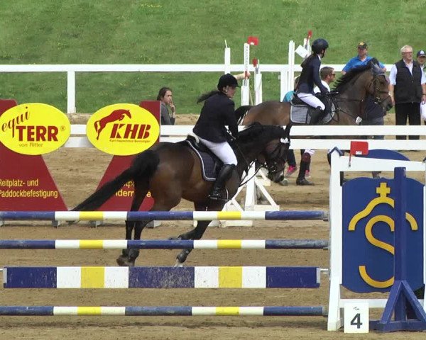 Reitturnier Schwaiganger 2017