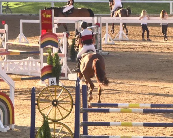 Reitturnier Schwaiganger 2017