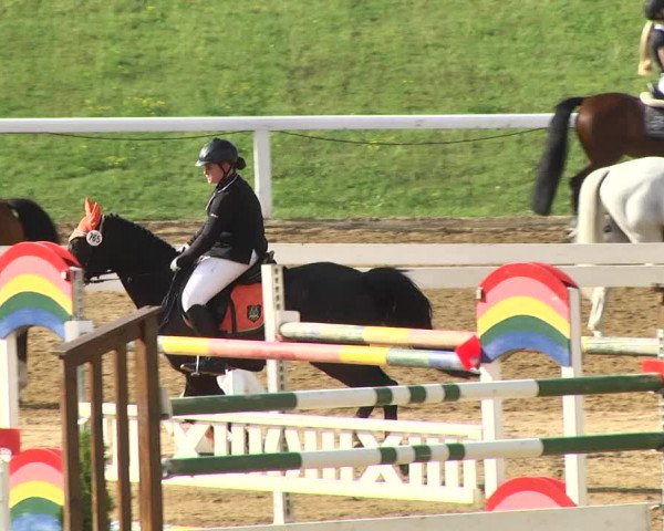 Reitturnier Schwaiganger 2017