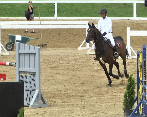 Reitturnier Schwaiganger 2017