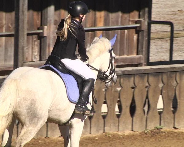 Reitturnier Schwaiganger 2017