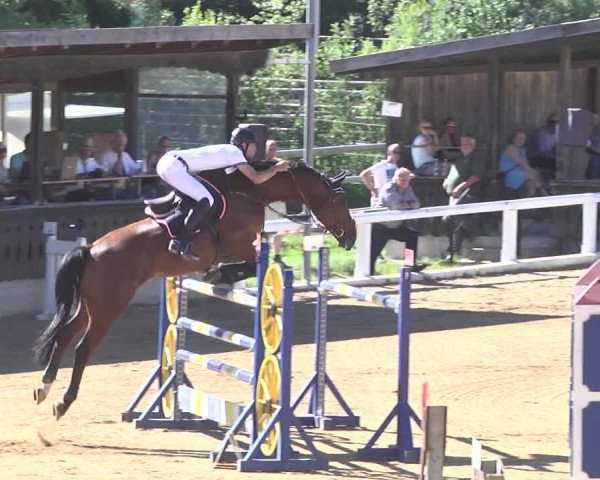 Reitturnier Schwaiganger 2017