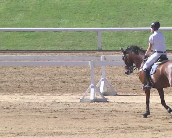 Reitturnier Schwaiganger 2017