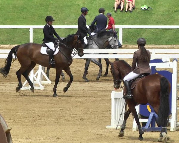Reitturnier Schwaiganger 2017