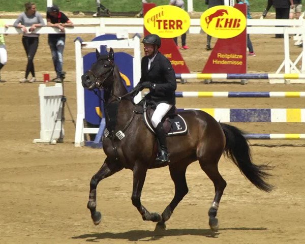 Reitturnier Schwaiganger 2017