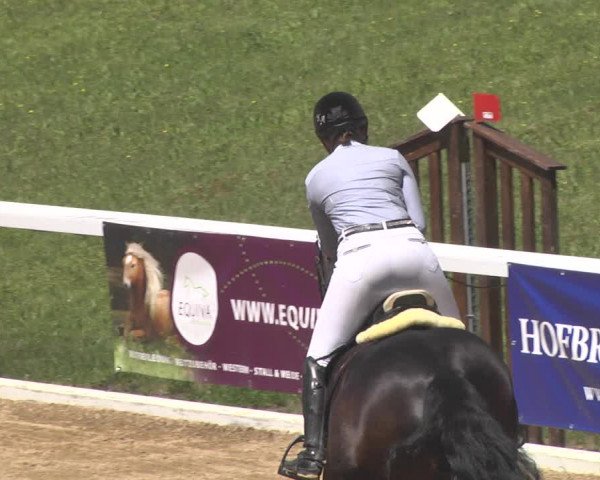 Reitturnier Schwaiganger 2017