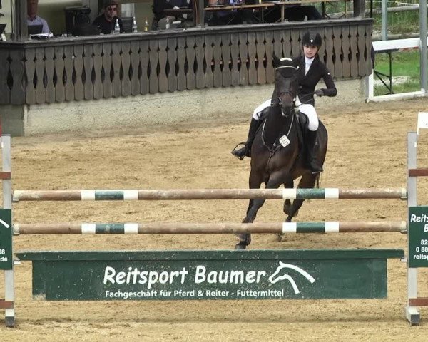Reitturnier Schwaiganger 2017