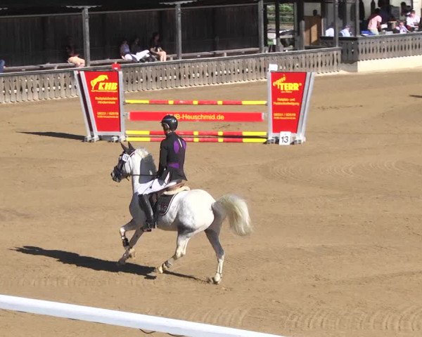 Reitturnier Schwaiganger 2017