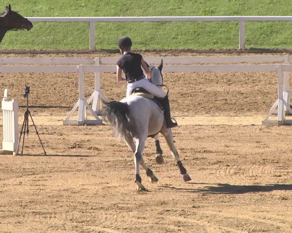Reitturnier Schwaiganger 2017