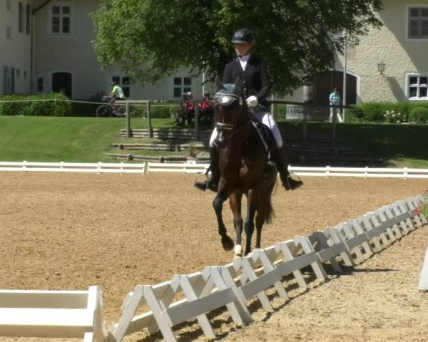 Reitturnier Schwaiganger 2017