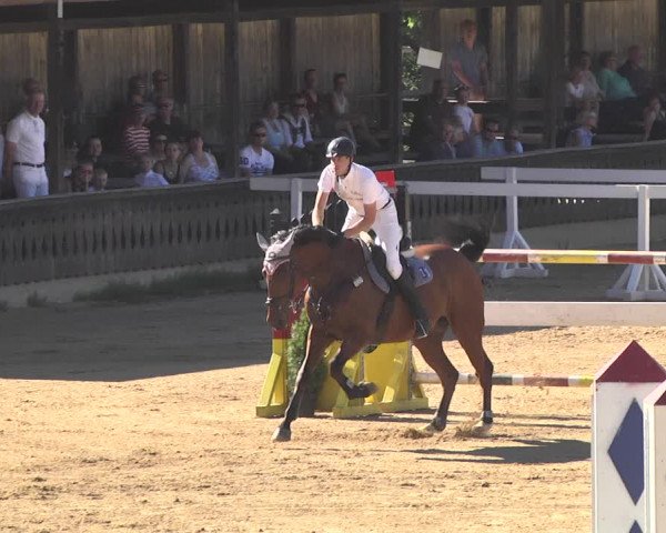 Reitturnier Schwaiganger 2017