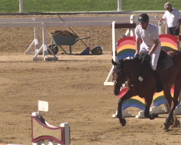 Reitturnier Schwaiganger 2017