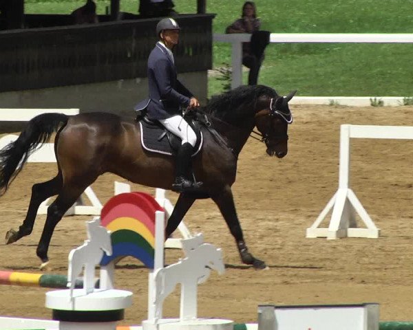 Reitturnier Schwaiganger 2017