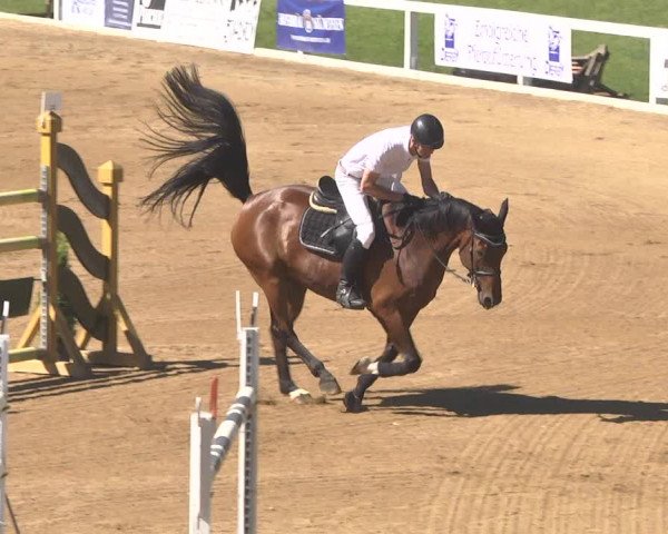 Reitturnier Schwaiganger 2017