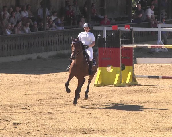 Reitturnier Schwaiganger 2017