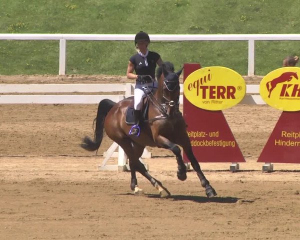 Reitturnier Schwaiganger 2017