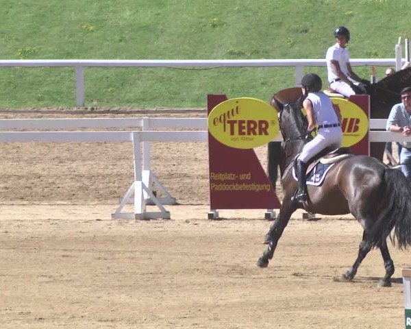 Reitturnier Schwaiganger 2017