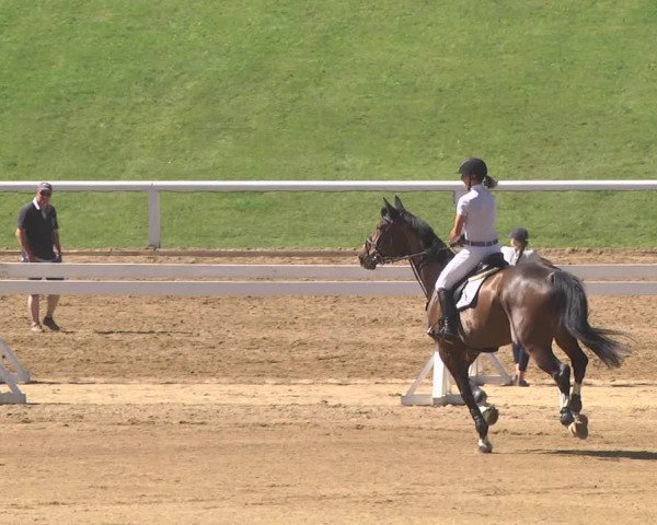 Reitturnier Schwaiganger 2017