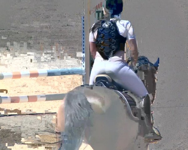 Reitturnier Schwaiganger 2017