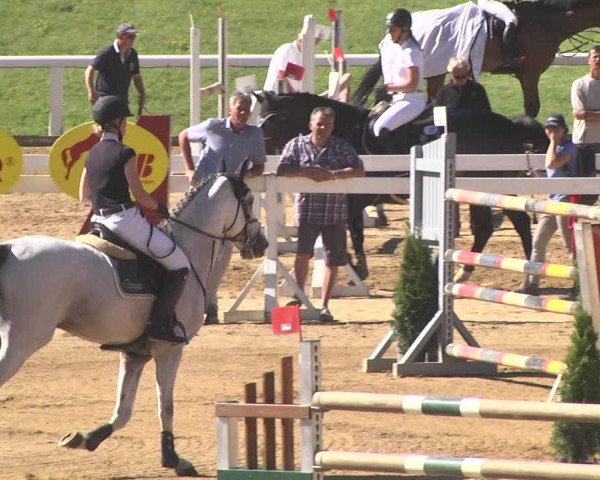 Reitturnier Schwaiganger 2017