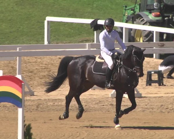 Reitturnier Schwaiganger 2017
