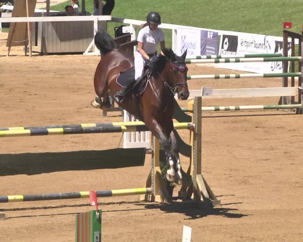 Reitturnier Schwaiganger 2017