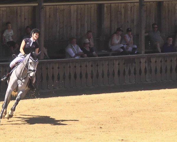 Reitturnier Schwaiganger 2017