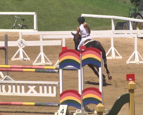 Reitturnier Schwaiganger 2017