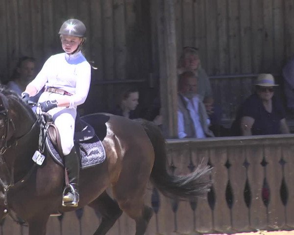 Reitturnier Schwaiganger 2017