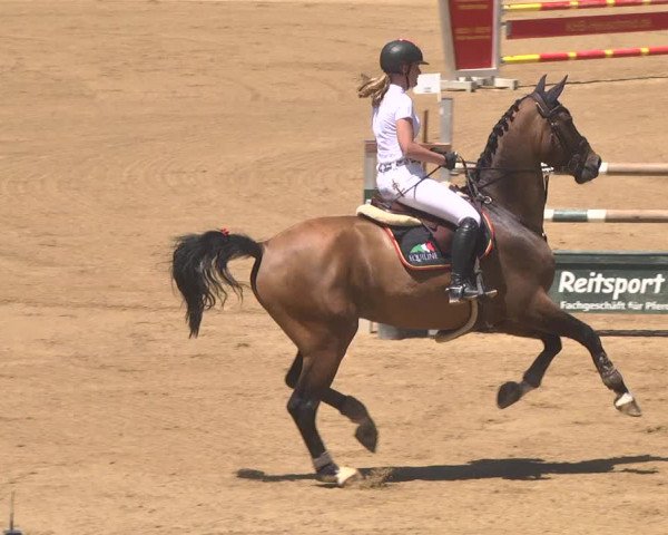 Reitturnier Schwaiganger 2017