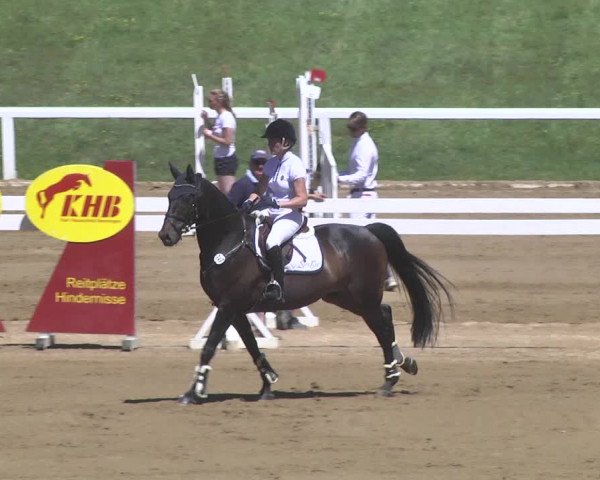 Reitturnier Schwaiganger 2017