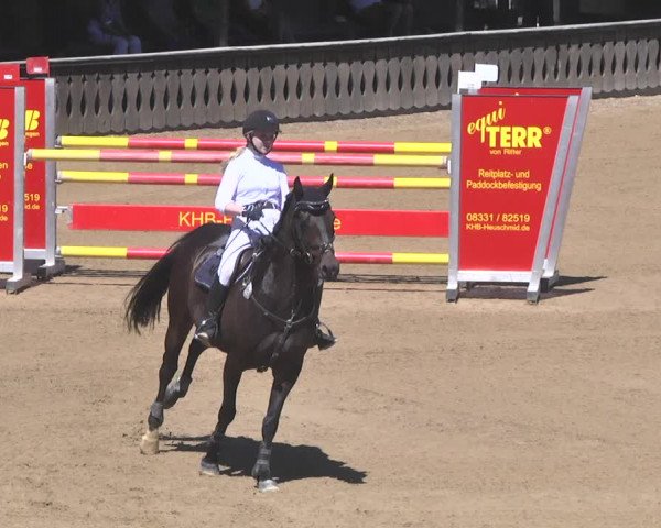 Reitturnier Schwaiganger 2017