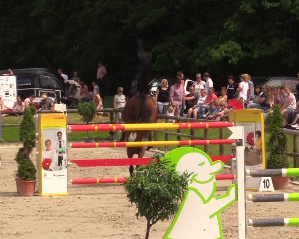 Reitturnier Detmold-Remmighausen 2017
