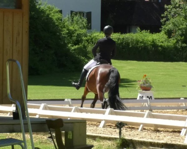Reitturnier Schwaiganger 2017