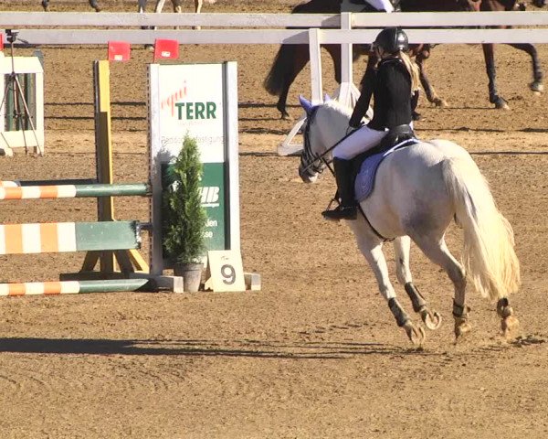 Reitturnier Schwaiganger 2017