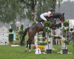 jumper Cute Calu (Hanoverian, 2014, from Copyright 17)