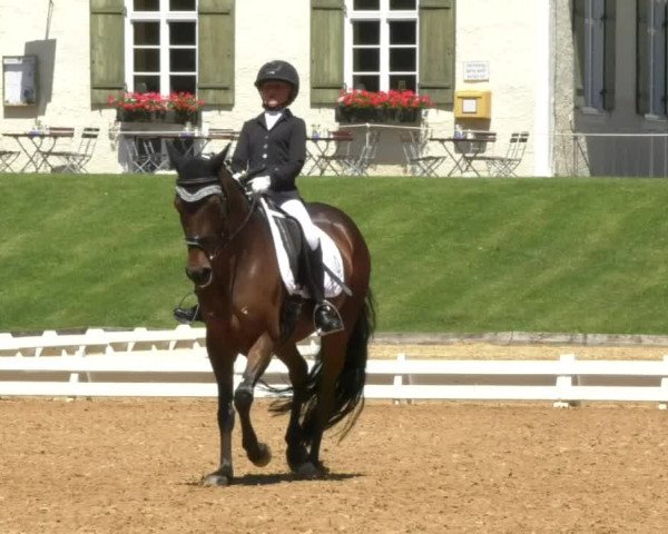 Reitturnier Schwaiganger 2017