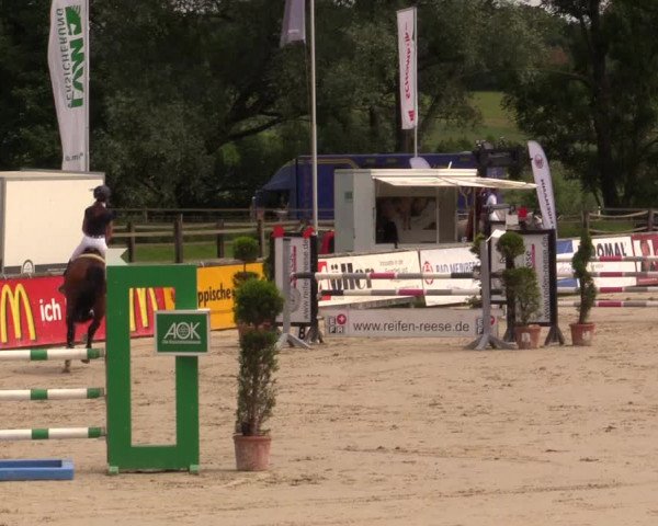 Reitturnier Detmold-Remmighausen 2017