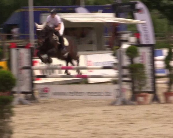 Reitturnier Detmold-Remmighausen 2017