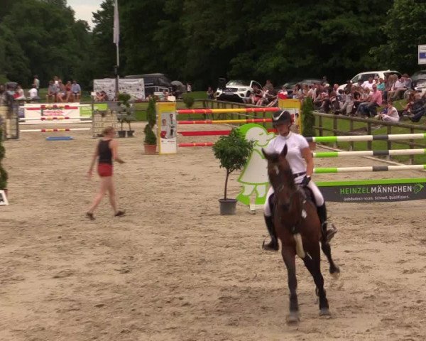 Reitturnier Detmold-Remmighausen 2017