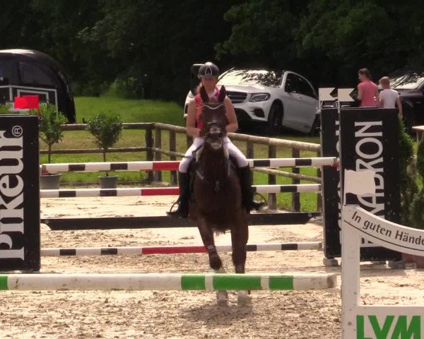 Reitturnier Detmold-Remmighausen 2017