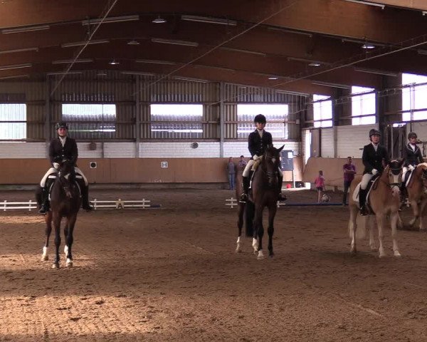 Reitturnier Dortmund-Asseln 2017