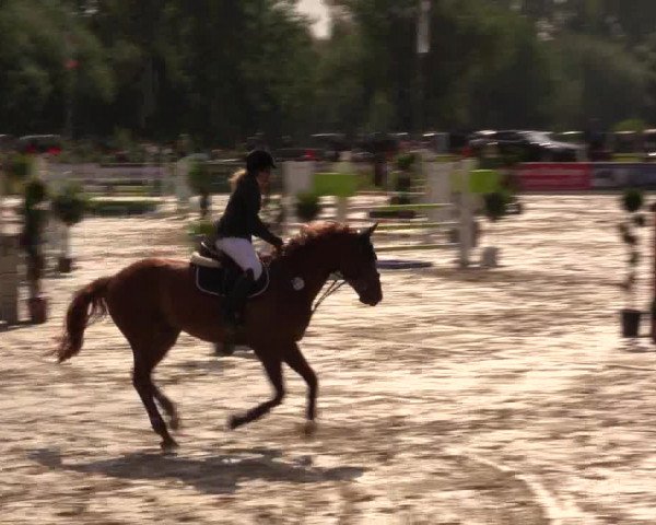 Reitturnier Detmold-Remmighausen 2017