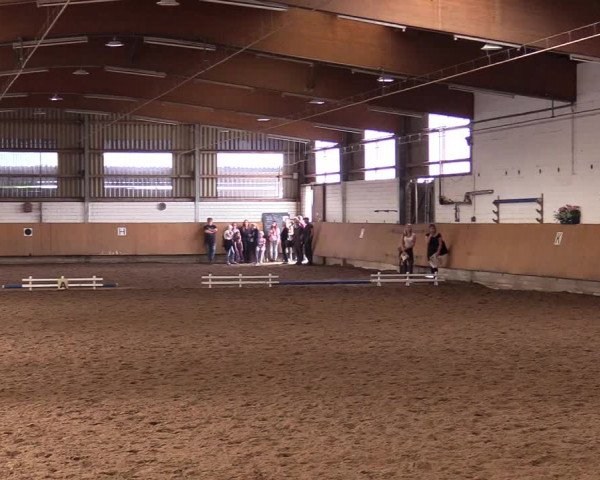 Reitturnier Dortmund-Asseln 2017